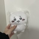 로티플보드카페 | [23_2月]휘몰아치는 만남 속에서