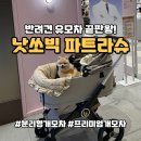 [반려견유모차] ‘낫쏘빅 파트라슈’ 디자인에 반해서 샀는데, 쓰면 쓸수록 대만족!! 내돈내산 찐 후기!!