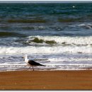 배낭바위민박 이미지