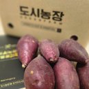 이정환농장 이미지