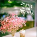 무궁화마트 이미지