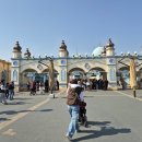 11545-10-13-36 | 에버랜드 워킹 사파리 36개월 미만 아기 후기 | 무료입장, 준비물, 현실 꿀팁 총정리