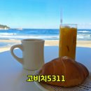 속초오션비치 | 속초 고성 오션뷰 카페 고비치5311 재방문 후기 추천 메뉴