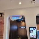 수당구장(1009) | [삼척 여행]삼척 쏠비치 리조트 스위트 취사 객실 및 부대시설, 동해바다 좋아요 (feat. 객실선택 팁)