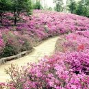 군포-산본-2015 이미지