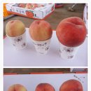 낙평주유소 이미지