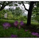 연못이 있는 집 이미지