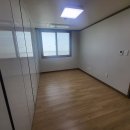 세화중학교 이미지