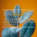 오르난 네이버블로그