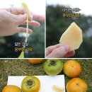 배감 이미지
