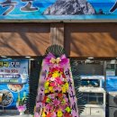 신경3길 | 덕신 독도천국 개업 축하 화환 배송 후기 (덕신 신경3길8)