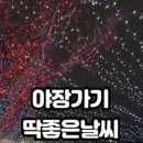 신만선