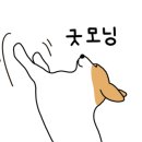 우쭈쭈수제간식 이미지