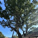 주봉경로당 이미지