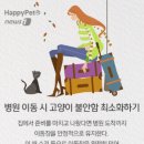 동물병원가는날