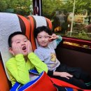 웅진태권도체육관 이미지