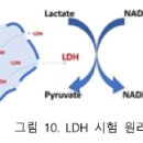 건강식품연구원 이미지
