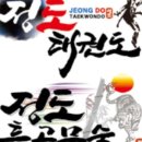 정도 태권도 경찰특공무술 이미지