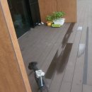 세종시 반려동물장례식장 포포즈(구 무지개언덕) 이용후기