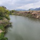 낙동강변27 이미지