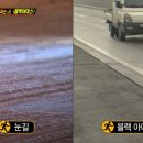 이카존 이미지