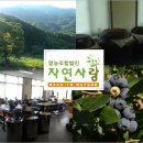 돌모루 농장 이미지