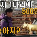 형민농장 티스토리