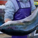 동해진미 이미지