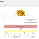 Re:포화지방은 왜 어떻게 몸에 해로운가? 불포화지방이 많은 돼지고기가 왜 몸에 좋은가? 이미지