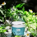 (주)올가 이미지