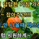 스마트폰세상 이미지