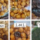 2호선 장산역 2번출구 이미지