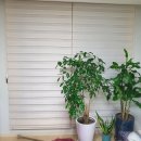 별사랑마을2-7단지아파트 이미지