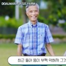 소가 행복한 농장 이미지
