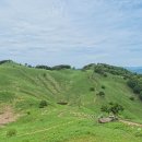 민둥산 등산 후기, 지금 가기 좋은 강원도 명산과 돌리네