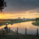 시흥 갯골생태공원 이미지