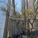 백마환경산업 이미지