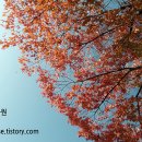 제2풍영정공원 이미지