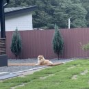 하구암리21 이미지