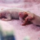 쌍둥이민박 이미지