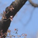 개금2동-2 이미지