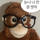 불가리안경 | 문신템 반려목걸이 구매 후기 (ft. 그라프 …그런데 불가리를 곁들인)