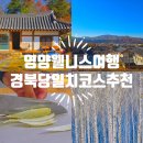 아름다운 한글 서예 | 영양 웰니스 여행 자작나무숲 경북 당일치기 코스 가볼만한곳