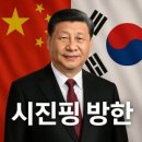 경주 APEC 시진핑 방한 이미지