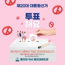 용인대 대선태권도장 이미지