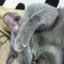 블루 여관 이미지