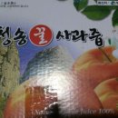 노마진 이미지