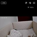 토브앤카라 이미지