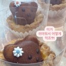 타르트곰 이미지