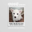 영천시농업기술센터_유기동물보호소 이미지